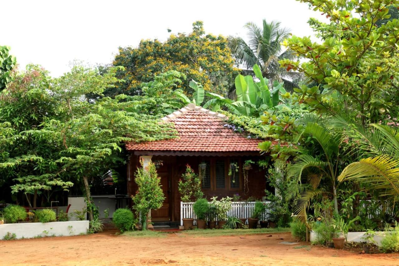 Niyati Home Stay Gokarna  Ngoại thất bức ảnh